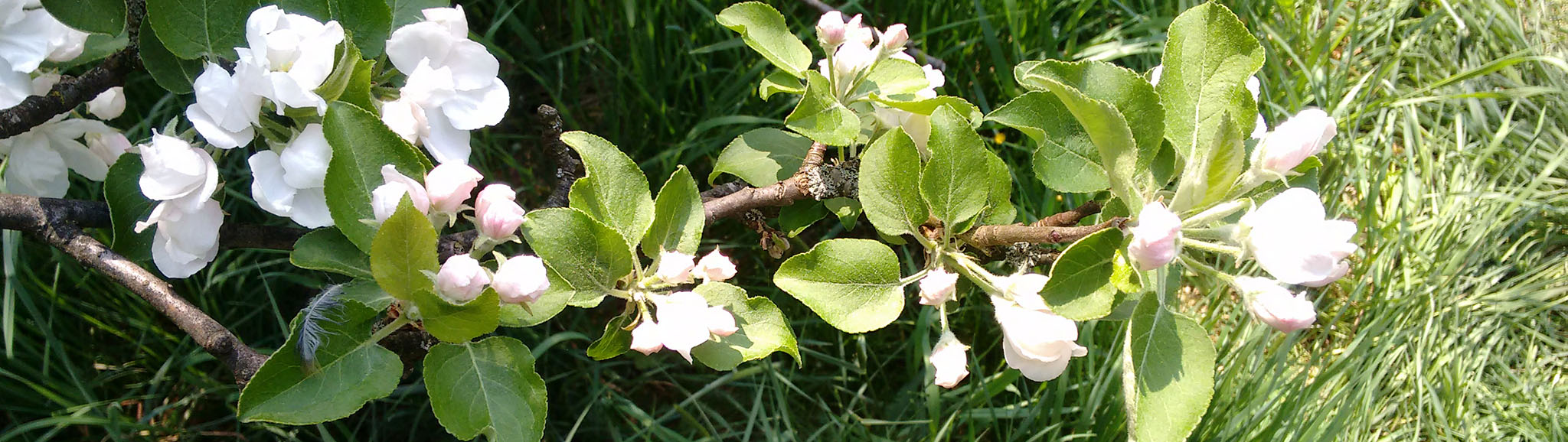 Massagestudio Keilitz Fürth