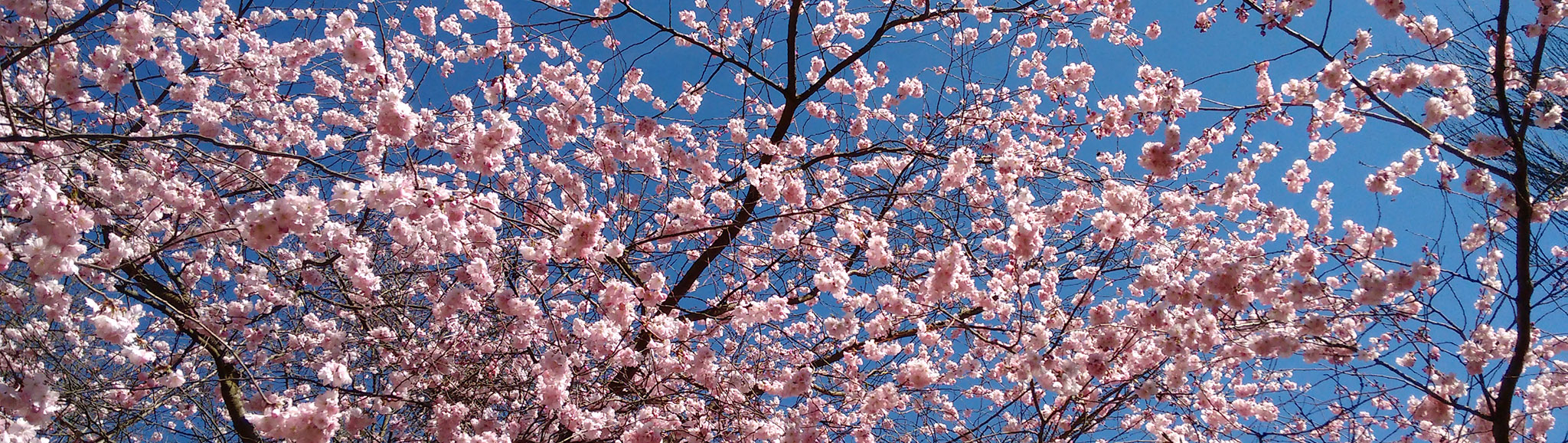 Massagestudio Keilitz