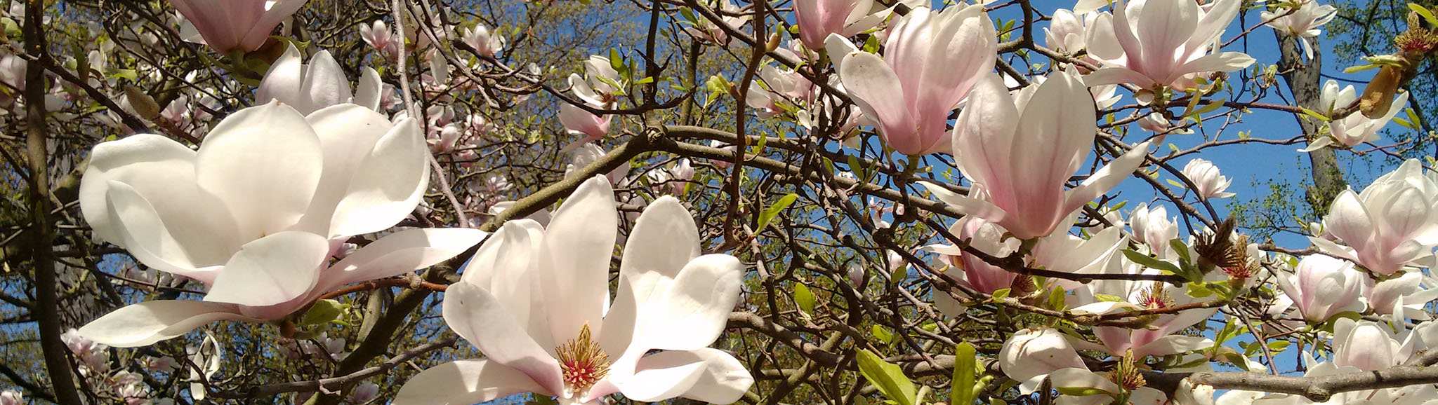 Massagestudio Keilitz